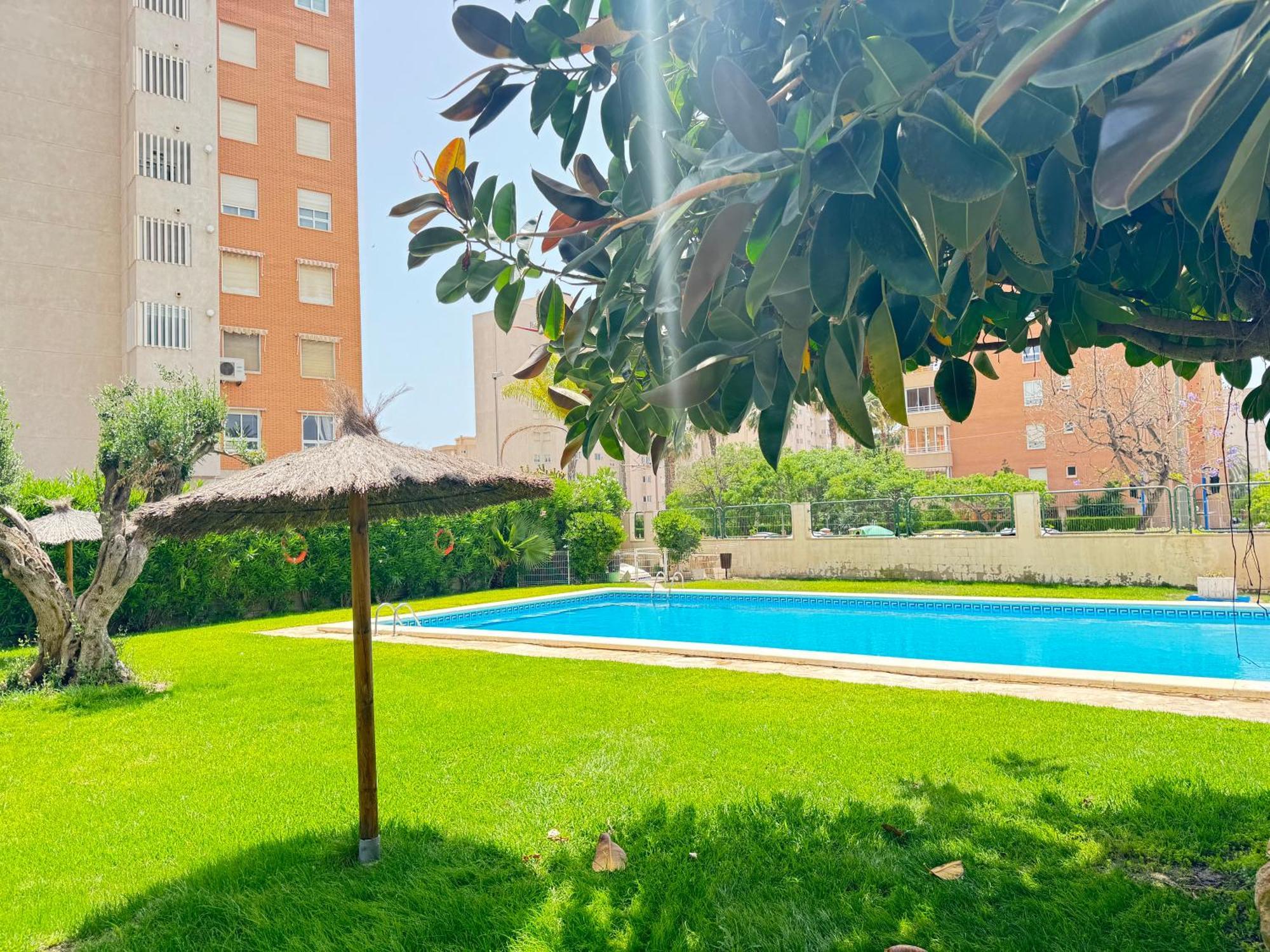 Estudio Con Piscina Alicante Eksteriør billede