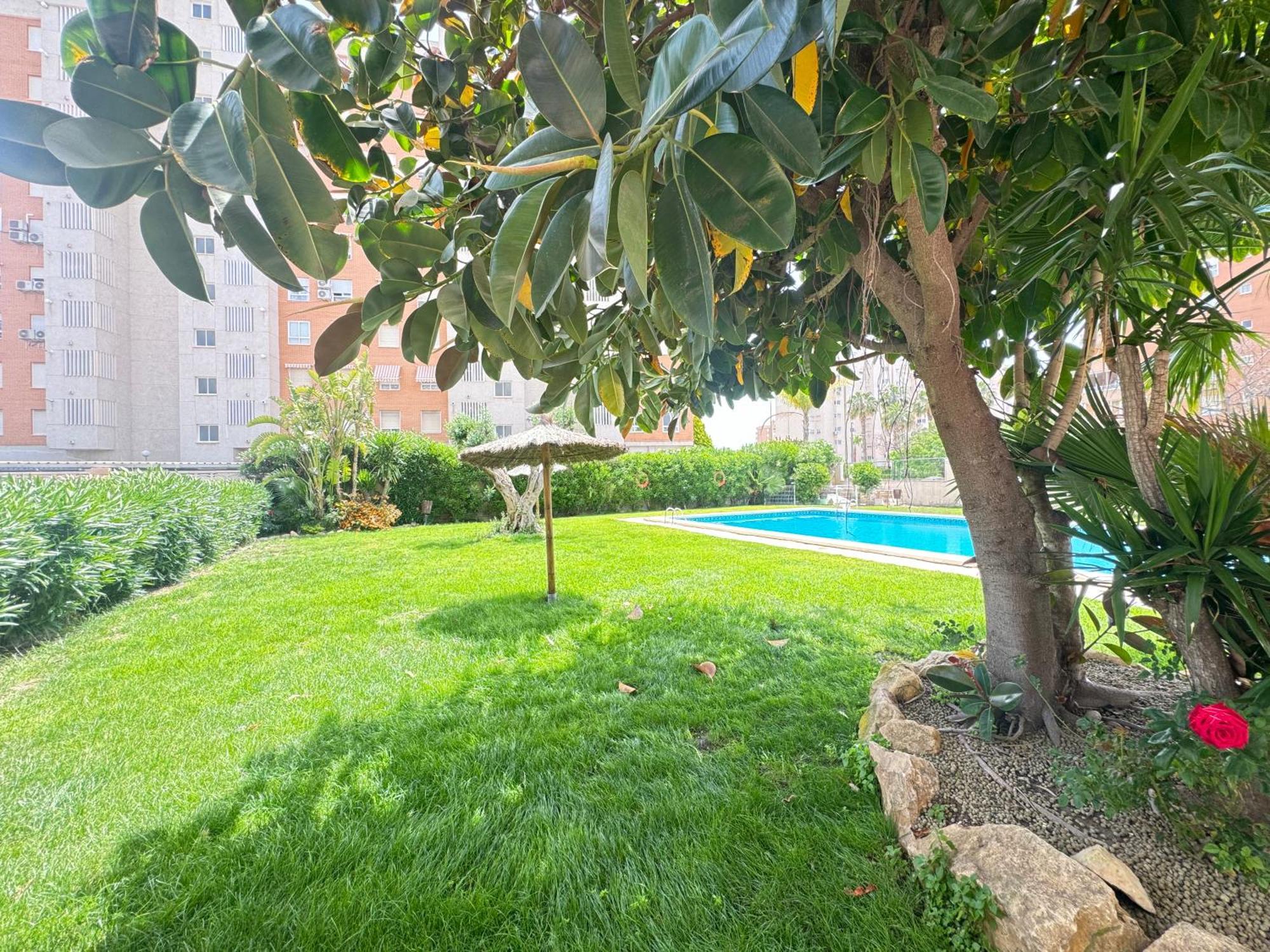 Estudio Con Piscina Alicante Eksteriør billede
