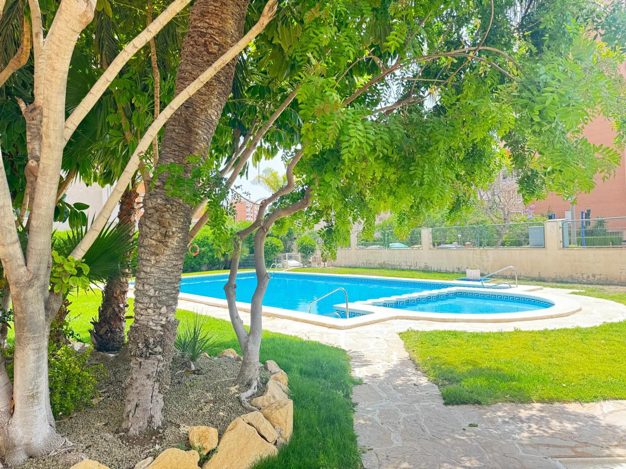 Estudio Con Piscina Alicante Eksteriør billede